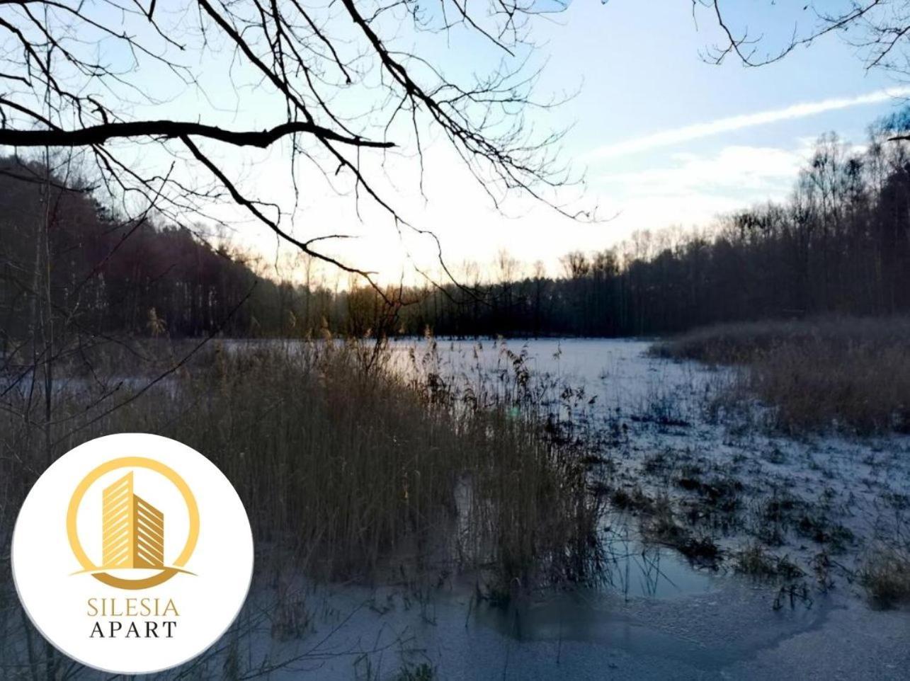 Apartament Granatowy Tychy Luaran gambar